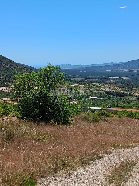 Foto 93aab2b8-d39a-462a-973f-ae0f2d02f8d7. Finca rústica en Zarzadilla de Totana Lorca