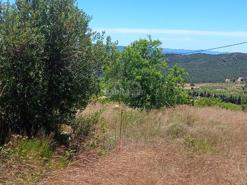 Foto b9bfc768-eea4-43c2-8cd1-fc06479de151. Finca rústica en Zarzadilla de Totana Lorca