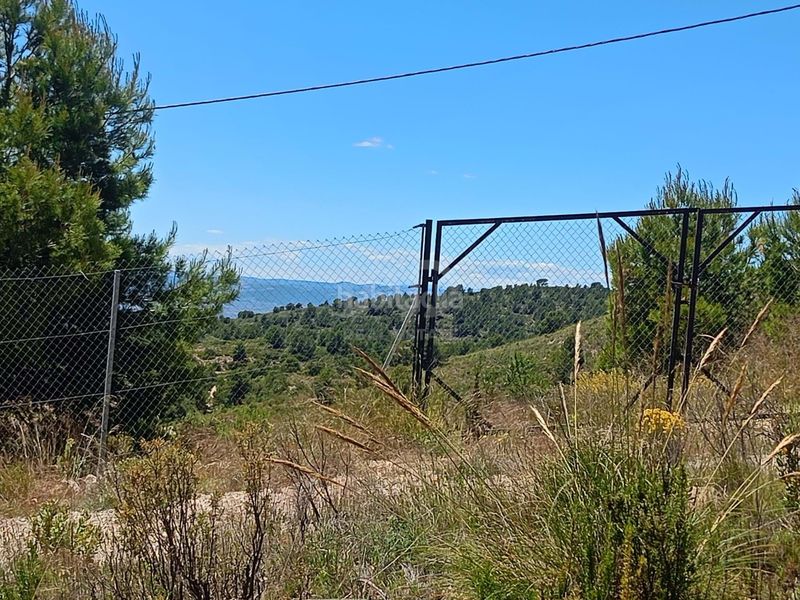 Foto bcd4cb47-b477-4e30-aa93-987eeee4c695. Finca rústica en Zarzadilla de Totana Lorca
