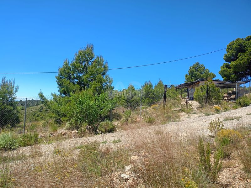 Foto df960134-001b-455d-a092-09261aa836e8. Finca rústica en Zarzadilla de Totana Lorca