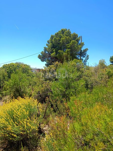 Foto f8354f82-1770-4dae-ada3-1af98fc41404. Finca rústica en Zarzadilla de Totana Lorca