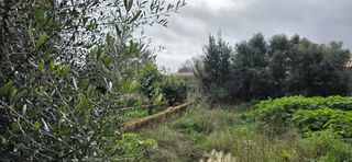Terreny residencial a Sant Llorenç des Cardassar