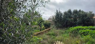 Terreno residenziale in Sant Llorenç des Cardassar