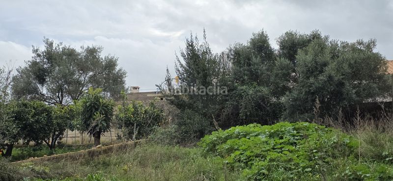 Foto 779cb25f-814b-4f48-a83f-49f5ab1959cd. Wohngrundstück in Sant Llorenç des Cardassar