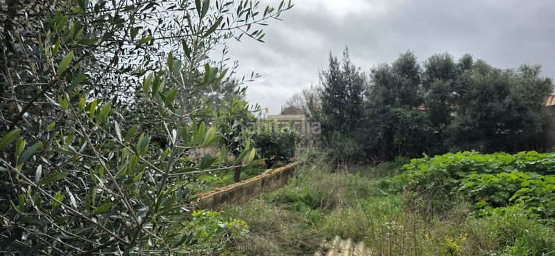 Foto 98aed9f0-91aa-424b-b3c6-529f72bfedc6. Wohngrundstück in Sant Llorenç des Cardassar
