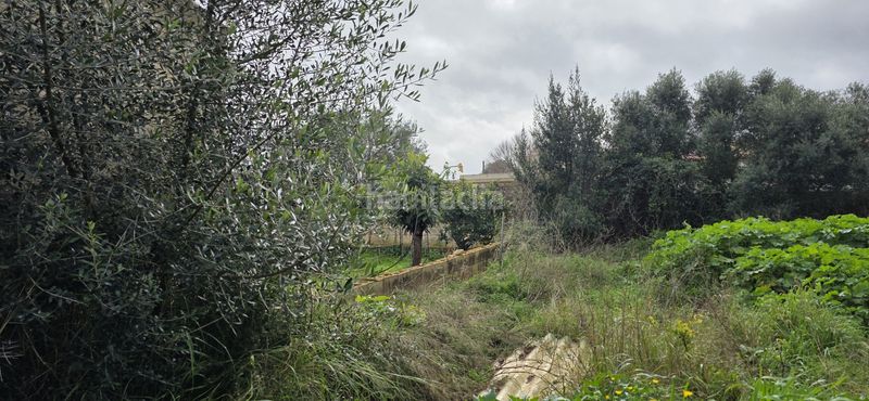 Foto a1c79b3c-a617-4a03-9405-a85a590e4854. Wohngrundstück in Sant Llorenç des Cardassar