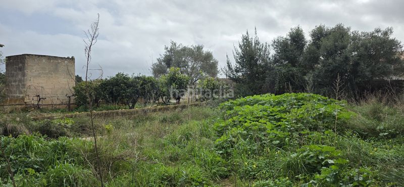 Foto abb0b302-28f9-4e45-9924-8719923cdbf2. Wohngrundstück in Sant Llorenç des Cardassar