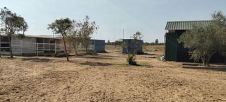 Rural plot in La Hacienda - Nueva Andalucía