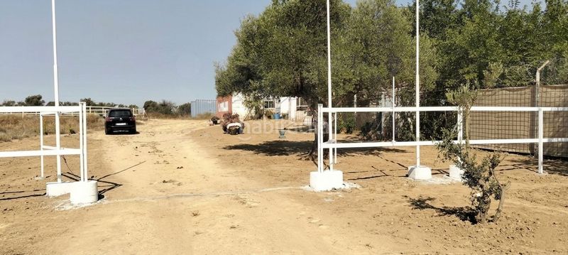 Foto 2505a58b-e1a4-46fa-a7c4-e44ca1d97aba. Finca rústica a La Hacienda - Nueva Andalucía Dos Hermanas