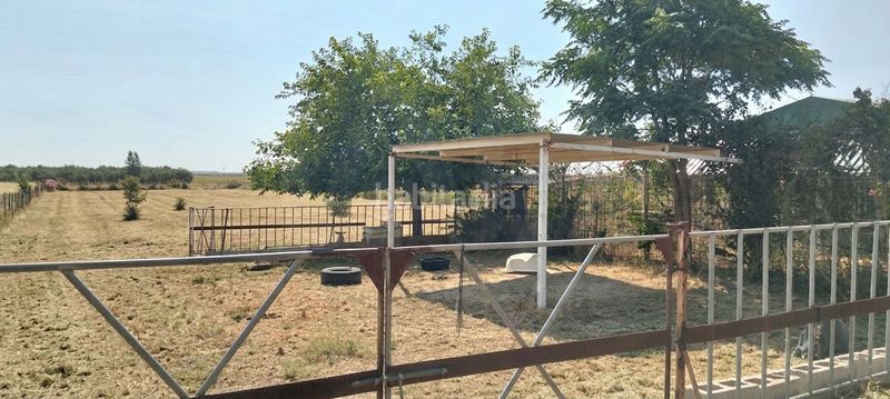 Foto 37a391f6-e8df-4d1f-99e9-2c41ebaa53ee. Finca rústica a La Hacienda - Nueva Andalucía Dos Hermanas