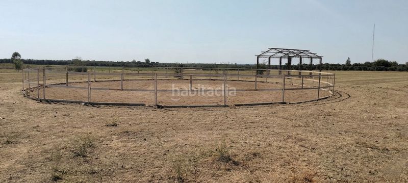 Foto 3bd8c26f-0a49-43f7-9e66-96e14d269511. Finca rústica a La Hacienda - Nueva Andalucía Dos Hermanas
