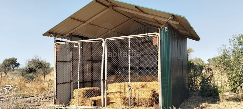 Foto 50b3ad5b-e29f-4a76-9a3d-18ea53e73451. Finca rústica a La Hacienda - Nueva Andalucía Dos Hermanas