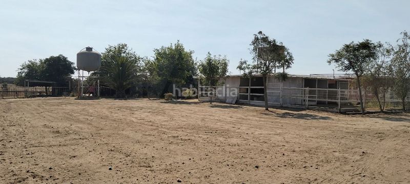 Foto 669ba636-a624-4d46-8ca2-913da9e4419e. Finca rústica a La Hacienda - Nueva Andalucía Dos Hermanas