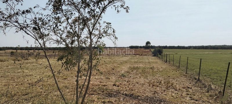 Foto 9f44eb00-7ee0-4091-b82c-c2745e46b7f9. Finca rústica a La Hacienda - Nueva Andalucía Dos Hermanas