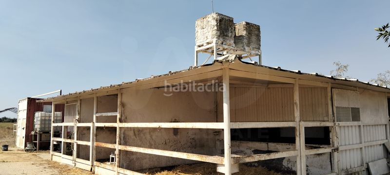 Foto bf69ca32-1bf9-4f8c-8049-85a82ffafdf2. Finca rústica a La Hacienda - Nueva Andalucía Dos Hermanas