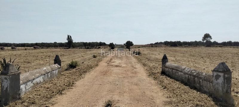 Foto c85d6624-20c3-4259-9105-66be476083a3. Finca rústica a La Hacienda - Nueva Andalucía Dos Hermanas