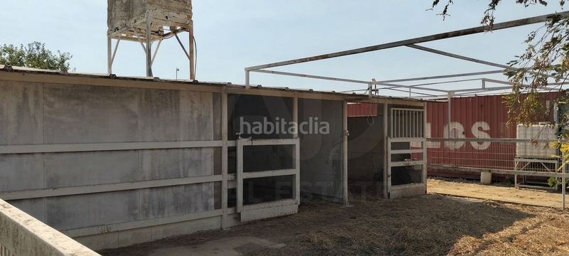 Foto e4507676-4d69-47ef-b010-db0fb1956771. Finca rústica a La Hacienda - Nueva Andalucía Dos Hermanas