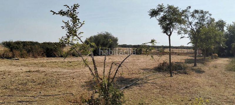 Foto f0ee4538-ddcc-4572-a44c-a564dfb53b79. Finca rústica a La Hacienda - Nueva Andalucía Dos Hermanas