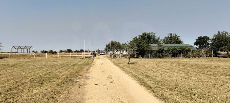 Foto f55e7b28-a5b7-4221-8edd-9b5d300b83d5. Finca rústica a La Hacienda - Nueva Andalucía Dos Hermanas