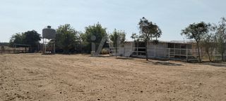 Rural plot in La Hacienda - Nueva Andalucía