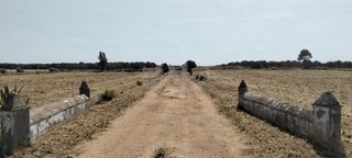 Finca rústica en La Hacienda - Nueva Andalucía