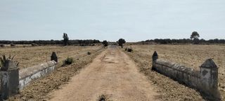 Rural plot in La Hacienda - Nueva Andalucía