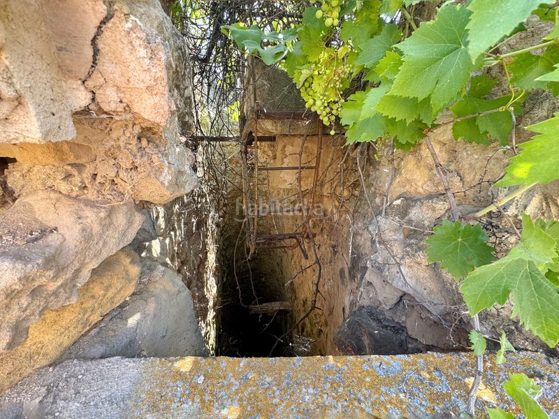 Foto 68f7a540-d72d-4a2e-b463-b8a273253d49. Finca rústica a Riba-roja d´Ebre
