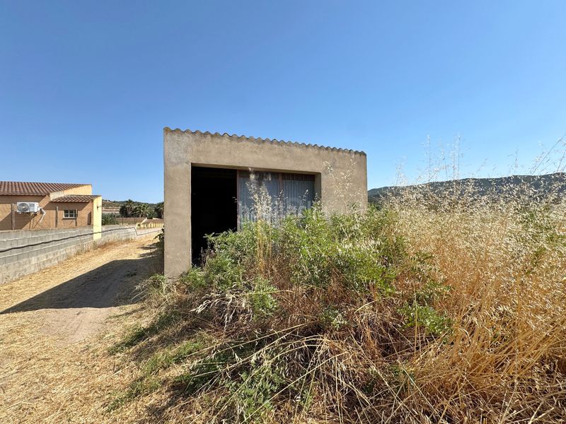 Foto d1a16640-1867-444b-97ab-2116b484d320. Finca rústica a Riba-roja d´Ebre
