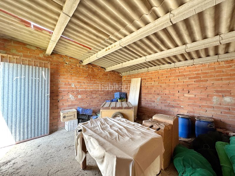 Foto f35eb2be-9979-4efc-8570-9c983a69371c. Finca rústica a Riba-roja d´Ebre