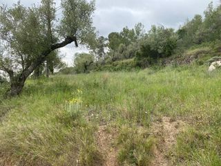 Wohngrundstück in Castellvell del Camp