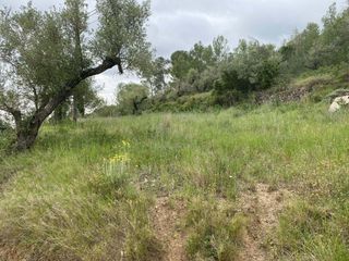 Terreno residenziale in Castellvell del Camp