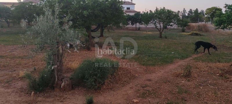 Foto 593e94db-29f2-4c90-92a3-d4d58c07882e. Finca rústica a Écija
