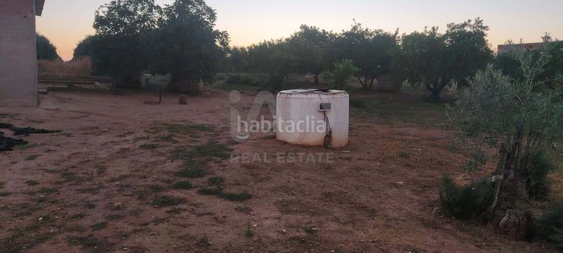Foto 61eadd9a-a65a-4661-8936-579e82cbd686. Finca rústica a Écija