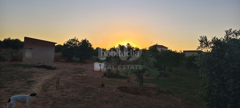 Foto c1c48ba5-efaa-4103-8eba-e9f441f4e1ba. Finca rústica a Écija