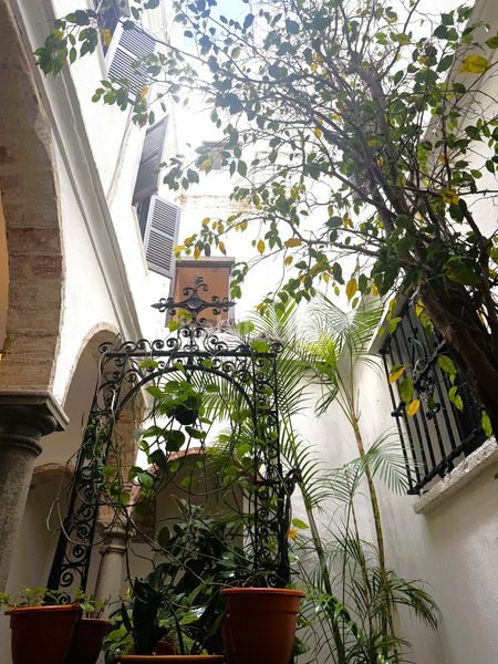 Foto a9c41849-f456-41f7-a9a1-f4e77bd898cd. Àtic a Tarifa ciudad Tarifa