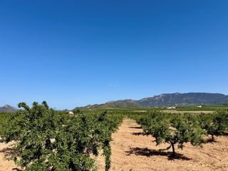 Propriété à Ricote