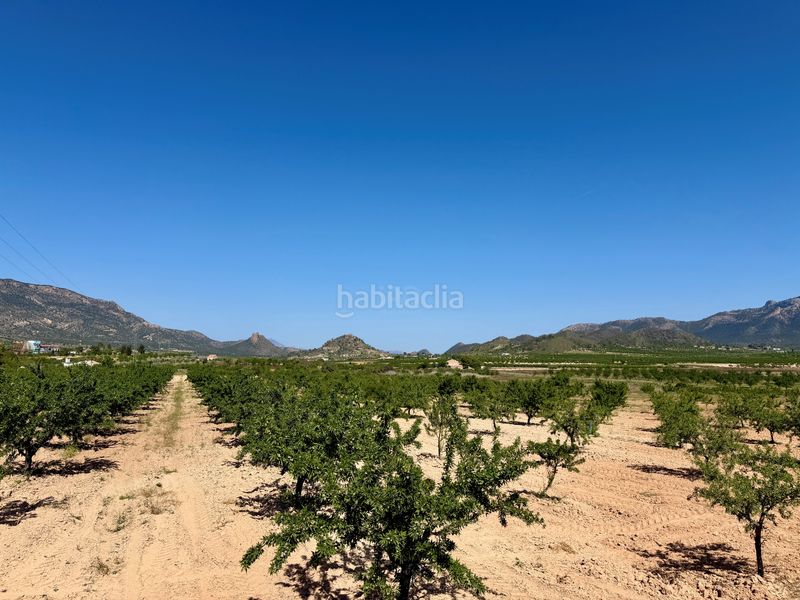 Foto 4ac25622-2473-48e9-a4e9-df63b5bc80d0. Finca rústica a Ricote