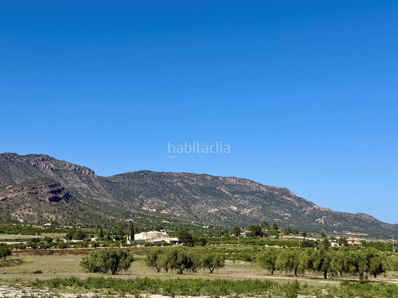 Foto cdcb83da-0b82-4995-8bff-434e085e9b2c. Finca rústica a Ricote
