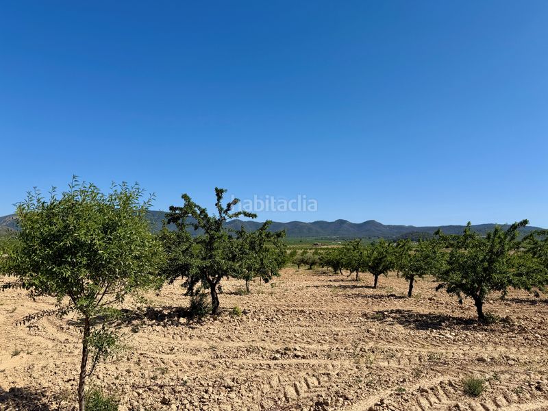 Foto deb98aa8-aed2-4747-befc-647b7944feb2. Finca rústica a Ricote