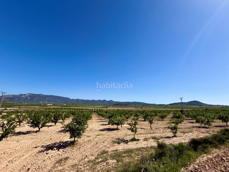 Foto fa5fee26-ef71-4c9a-b630-5f681aac3b7e. Finca rústica a Ricote