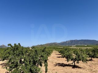 Landgut in Ricote