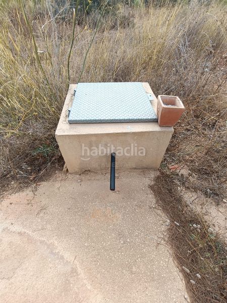 Foto 5242e84e-52f8-41f4-a90d-063ebc32e63b. Finca rústica a Les Tres Cales Ametlla de Mar (L´)