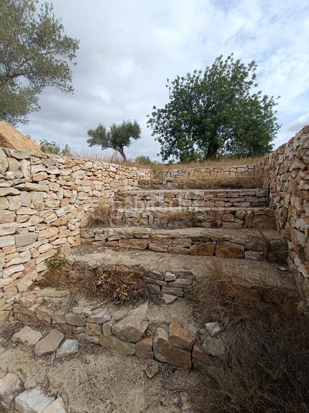 Foto 5febe30b-fa95-4b3a-aa5f-aea0d5e06d6d. Finca rústica a Les Tres Cales Ametlla de Mar (L´)