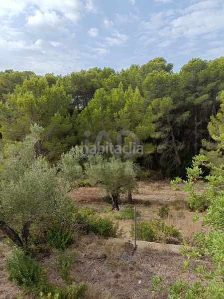 Foto 6e996d36-2cff-45ae-b80b-13670d1f53a5. Finca rústica a Les Tres Cales Ametlla de Mar (L´)