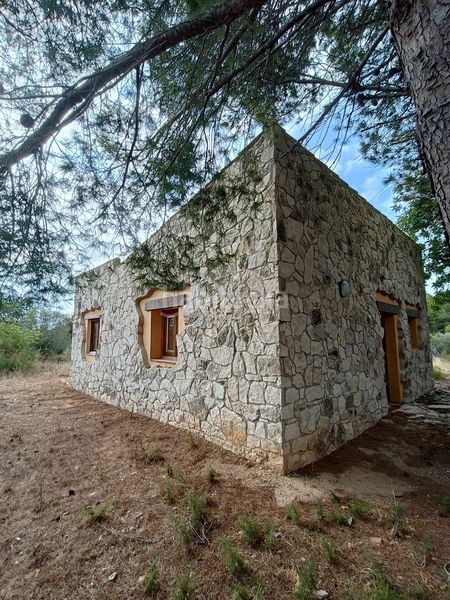 Foto ef6cd590-ca87-4222-afa8-b709a9d66faa. Finca rústica a Les Tres Cales Ametlla de Mar (L´)