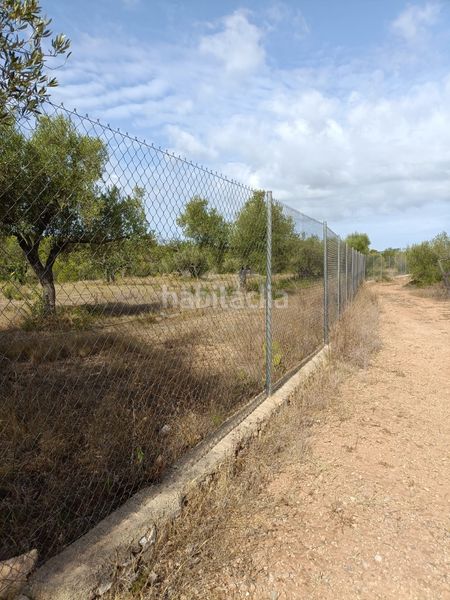 Foto f9bbd121-5925-4270-9cab-f4116c5e3fe2. Finca rústica a Les Tres Cales Ametlla de Mar (L´)