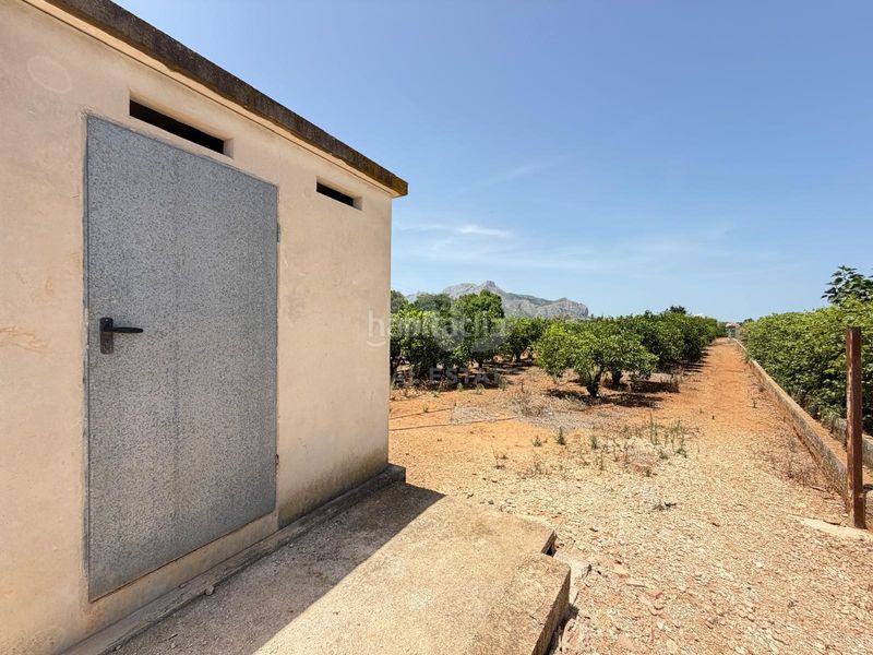 Foto b1285d3c-df05-4447-a00e-e01ff583916b. Finca rústica a Ondara