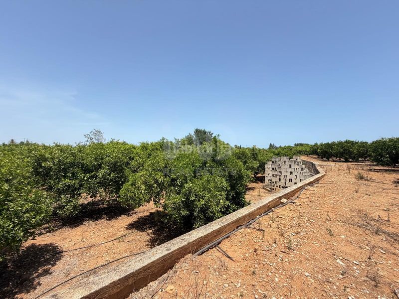 Foto cf4957e4-763a-414f-bf6f-b9127563cc51. Finca rústica a Ondara