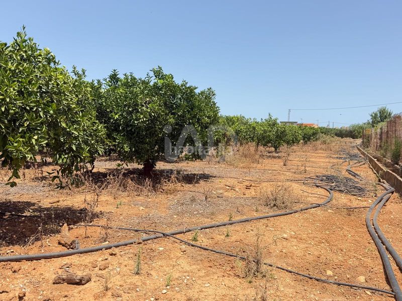 Foto f1b60d81-add1-4081-8ef8-9fcc82fac413. Finca rústica a Ondara