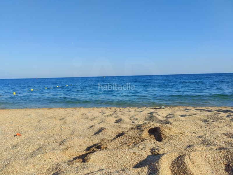 Foto 5e5e6835-29cb-4004-a630-f83fa207bd56. Pis a Calella
